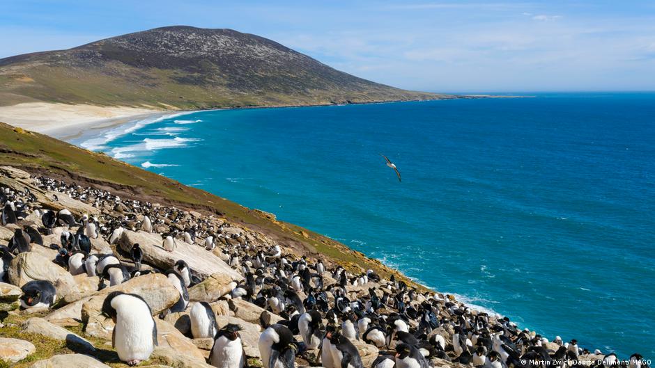How a multibillion-dollar oilfield has ignited the UK-Argentina feud over the Falklands